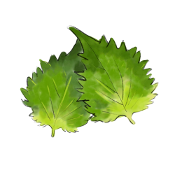 和ハーブ Greenstock40