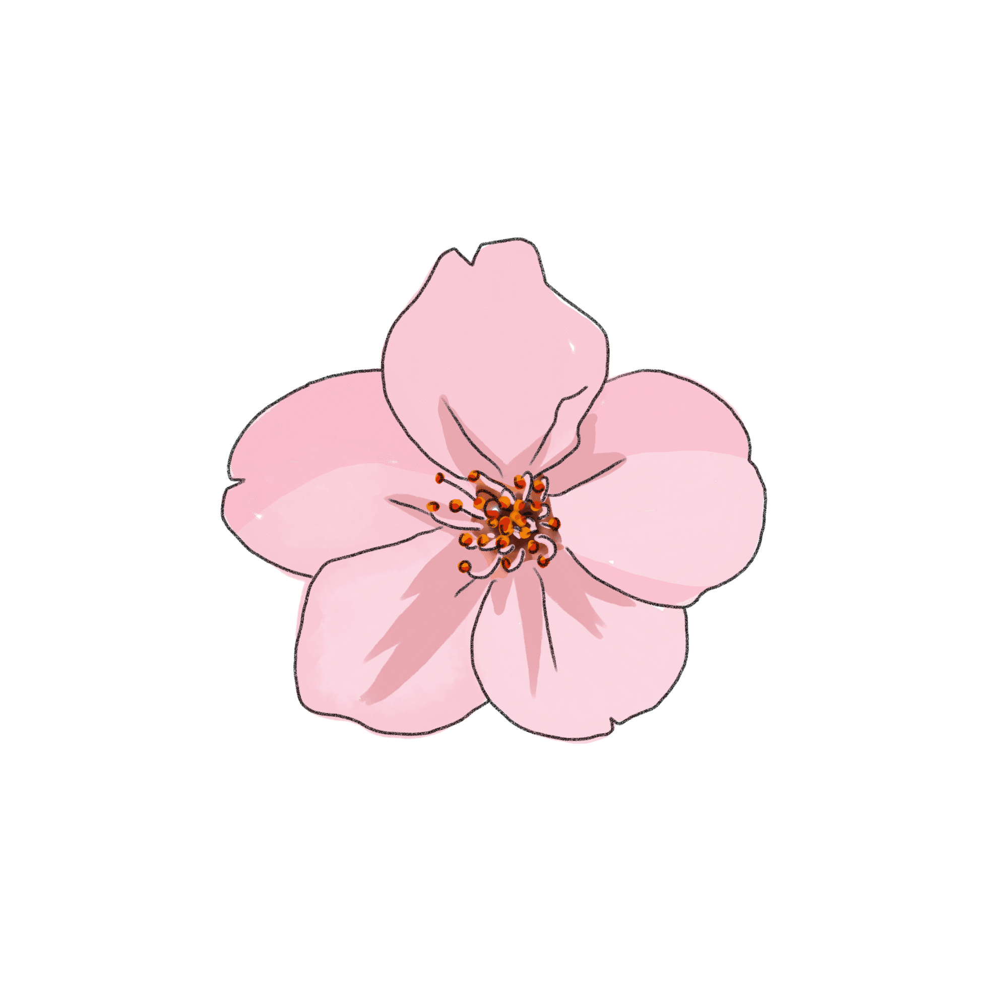 桜のイラスト 03 フリー素材 Greenstock40
