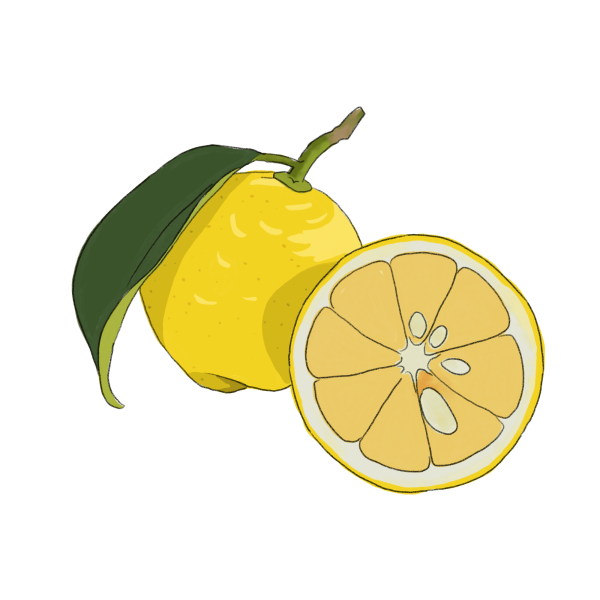 レモンのイラスト フリー素材 Greenstock40