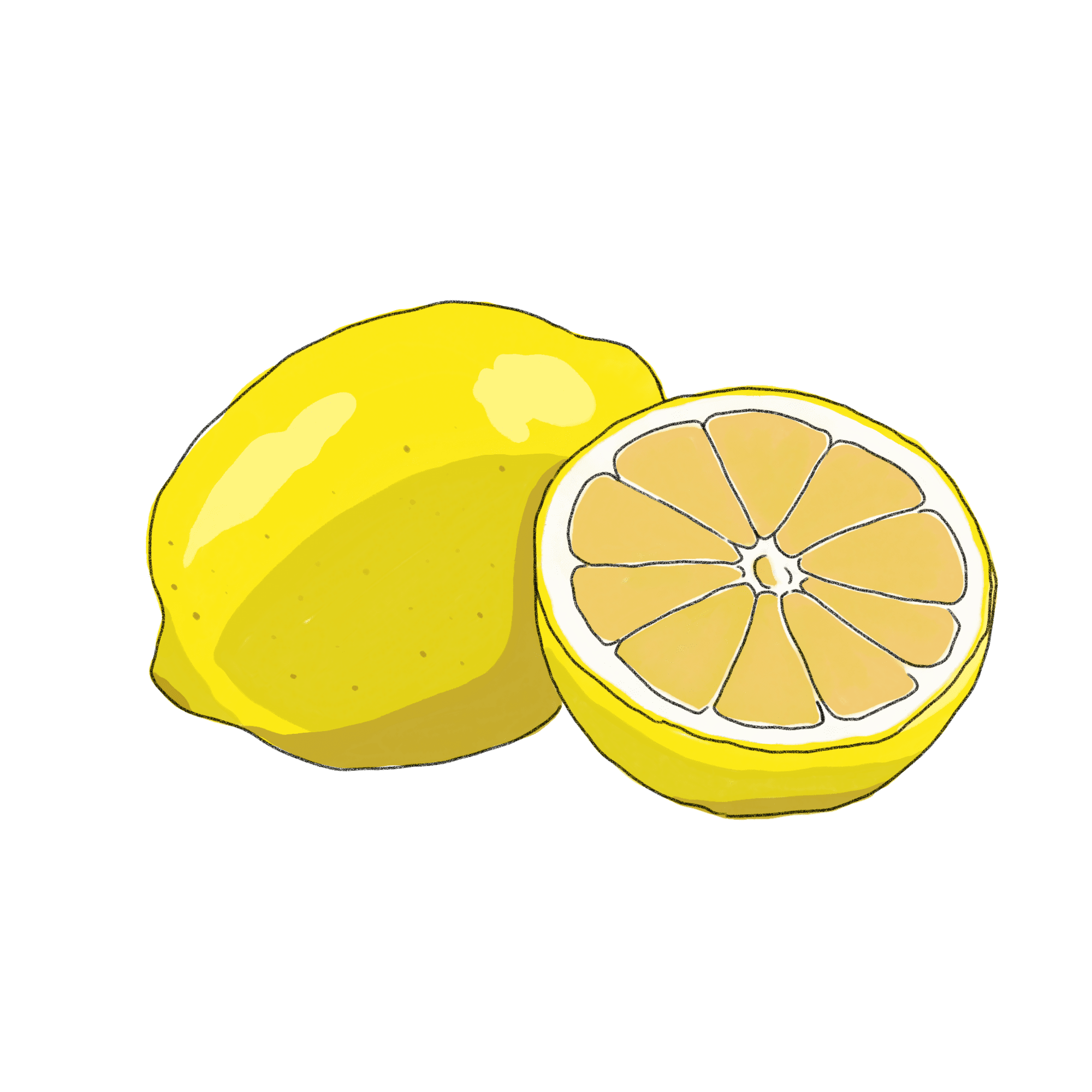 レモンのイラスト フリー素材 Greenstock40
