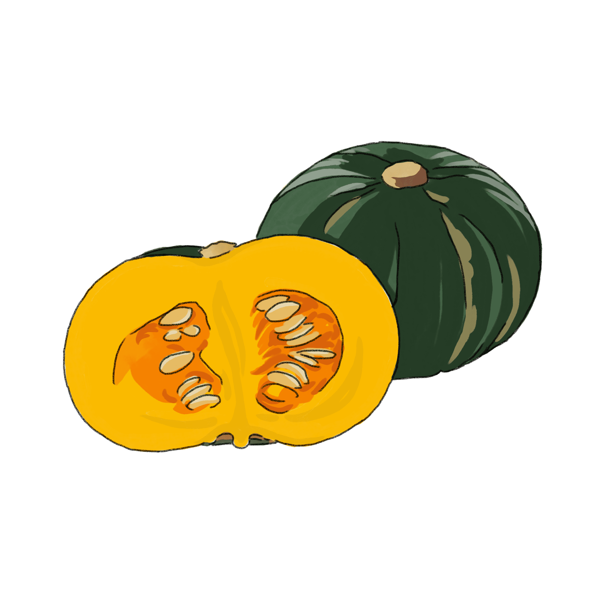 かぼちゃのイラスト フリー素材 Greenstock40