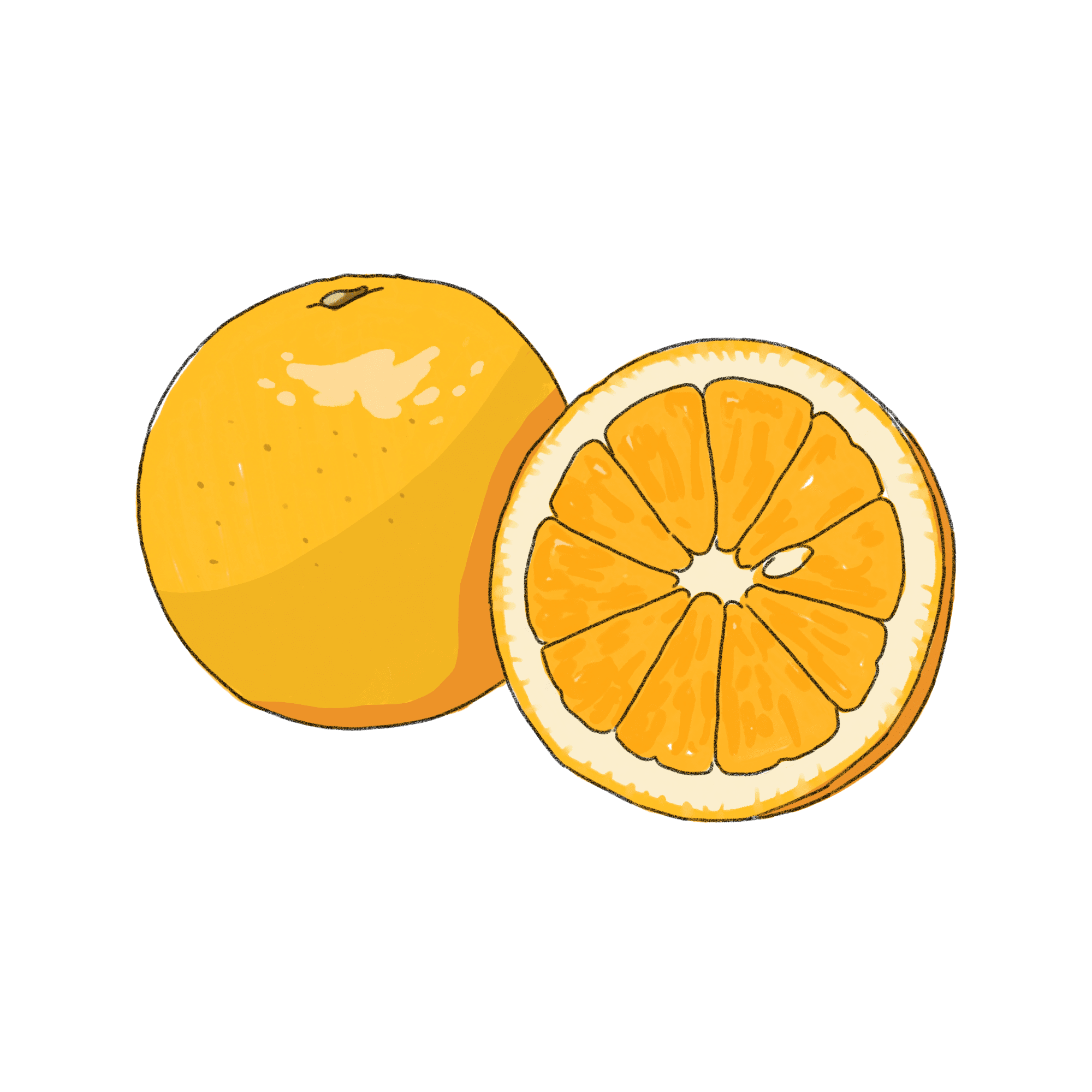オレンジのイラスト 02 フリー素材 Greenstock40