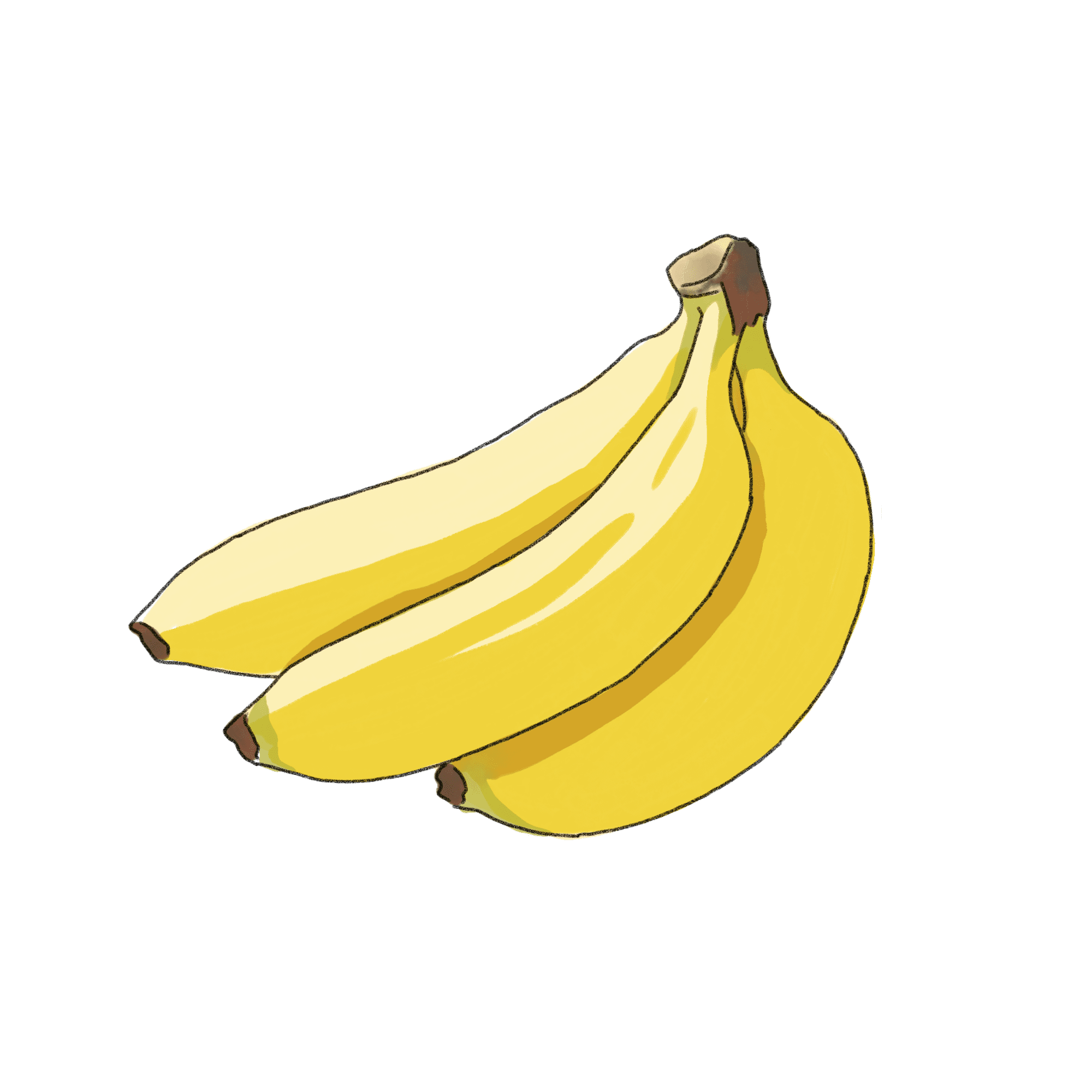 バナナのイラスト フリー素材 Greenstock40