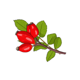 すみれのイラスト 02 フリー素材 Greenstock40