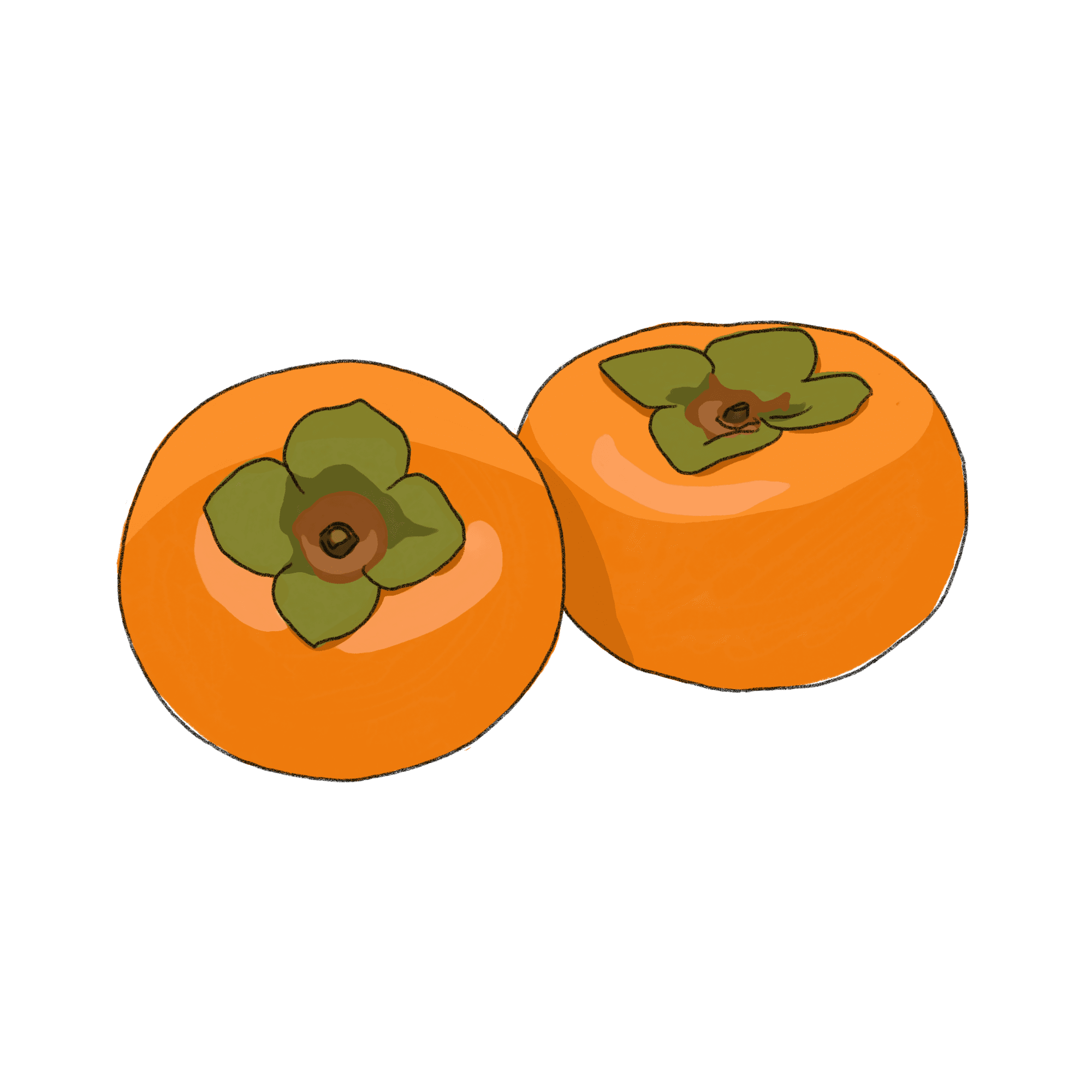 柿のイラスト