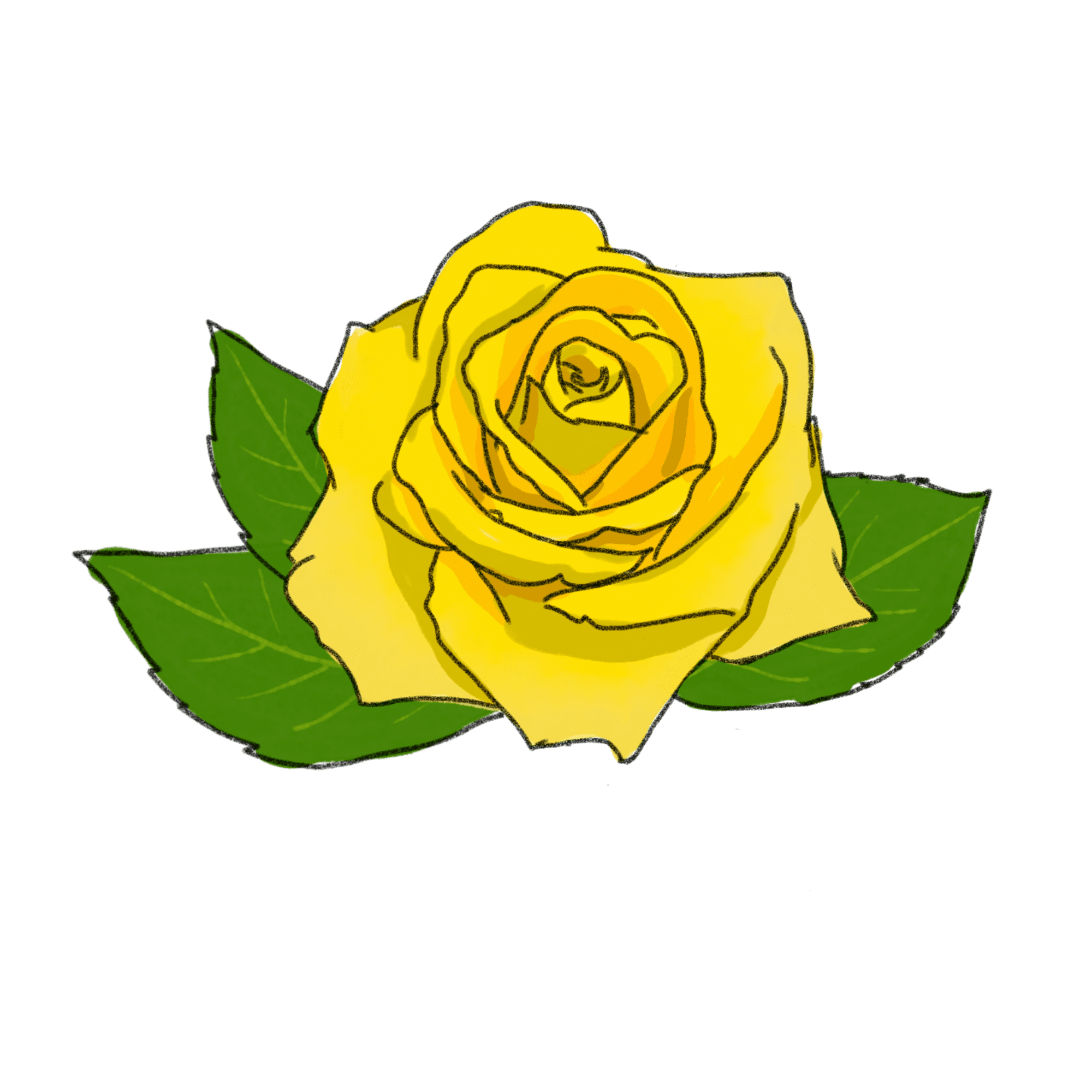 黄色いバラのイラスト 02 フリー素材 Greenstock40