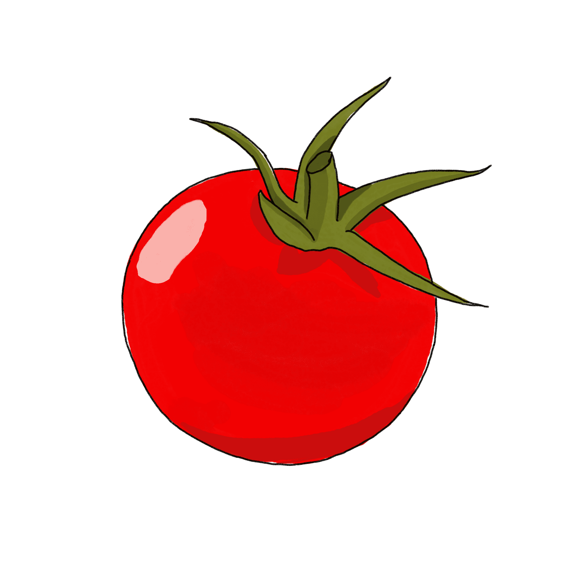 ミニトマトのイラスト