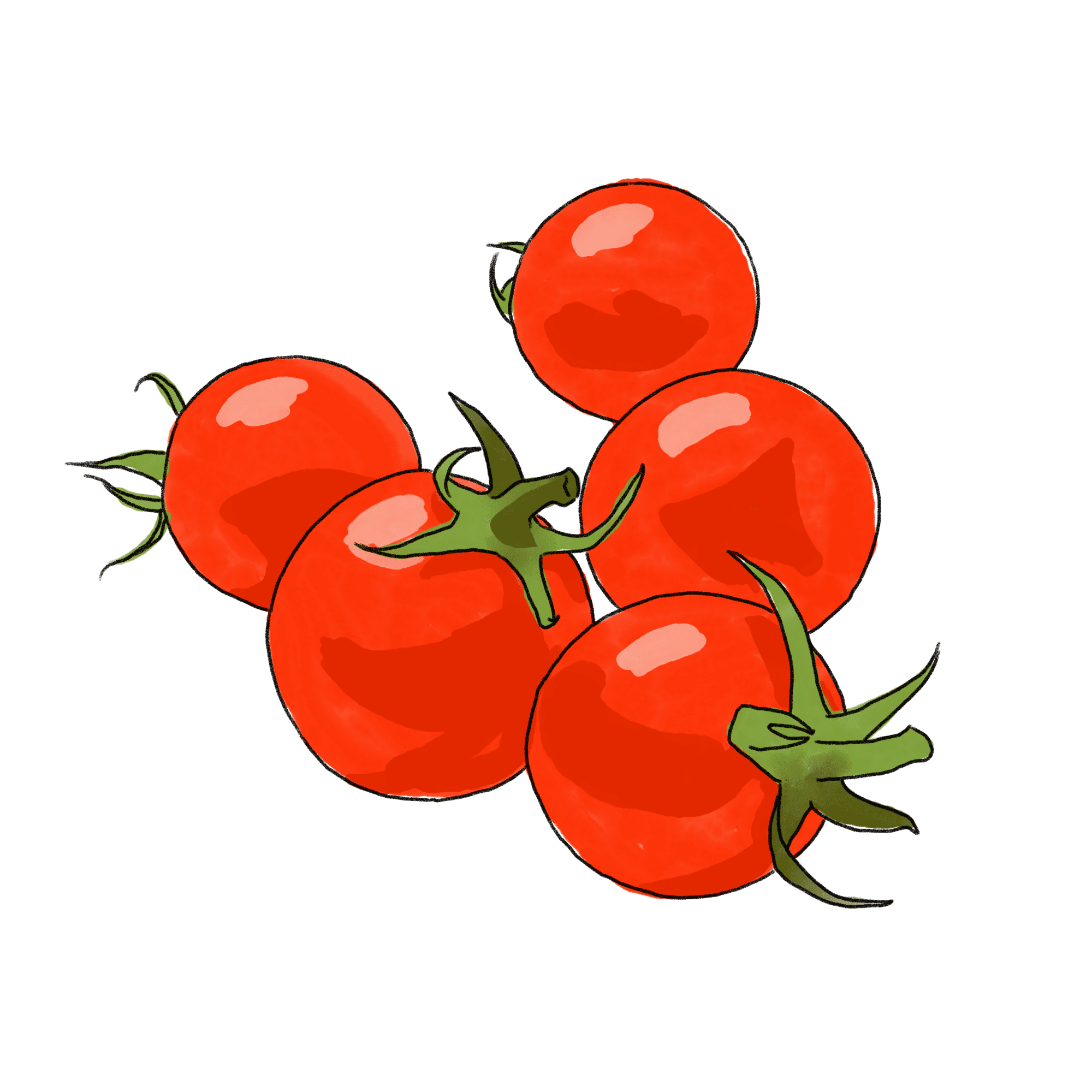 ミニトマトのイラスト