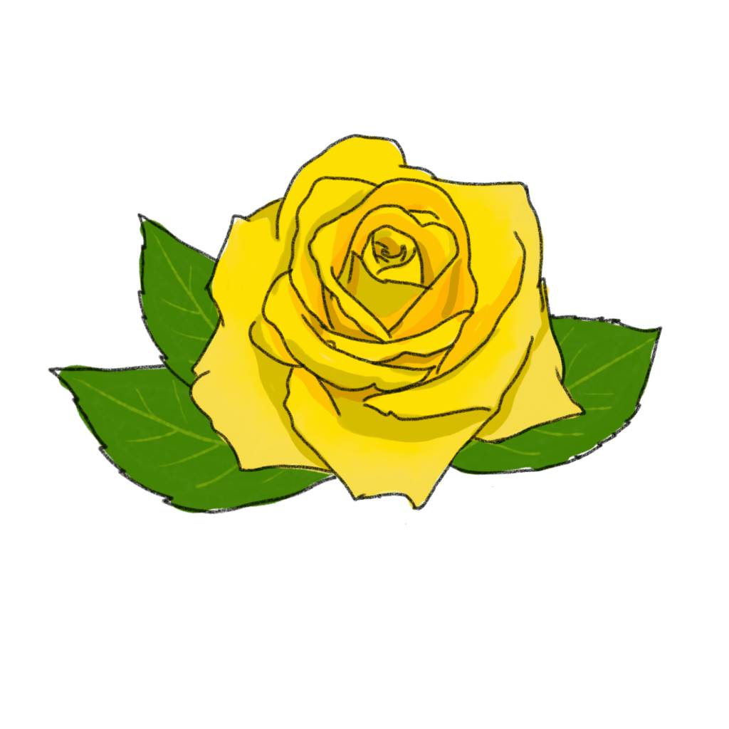 黄色いバラのイラスト