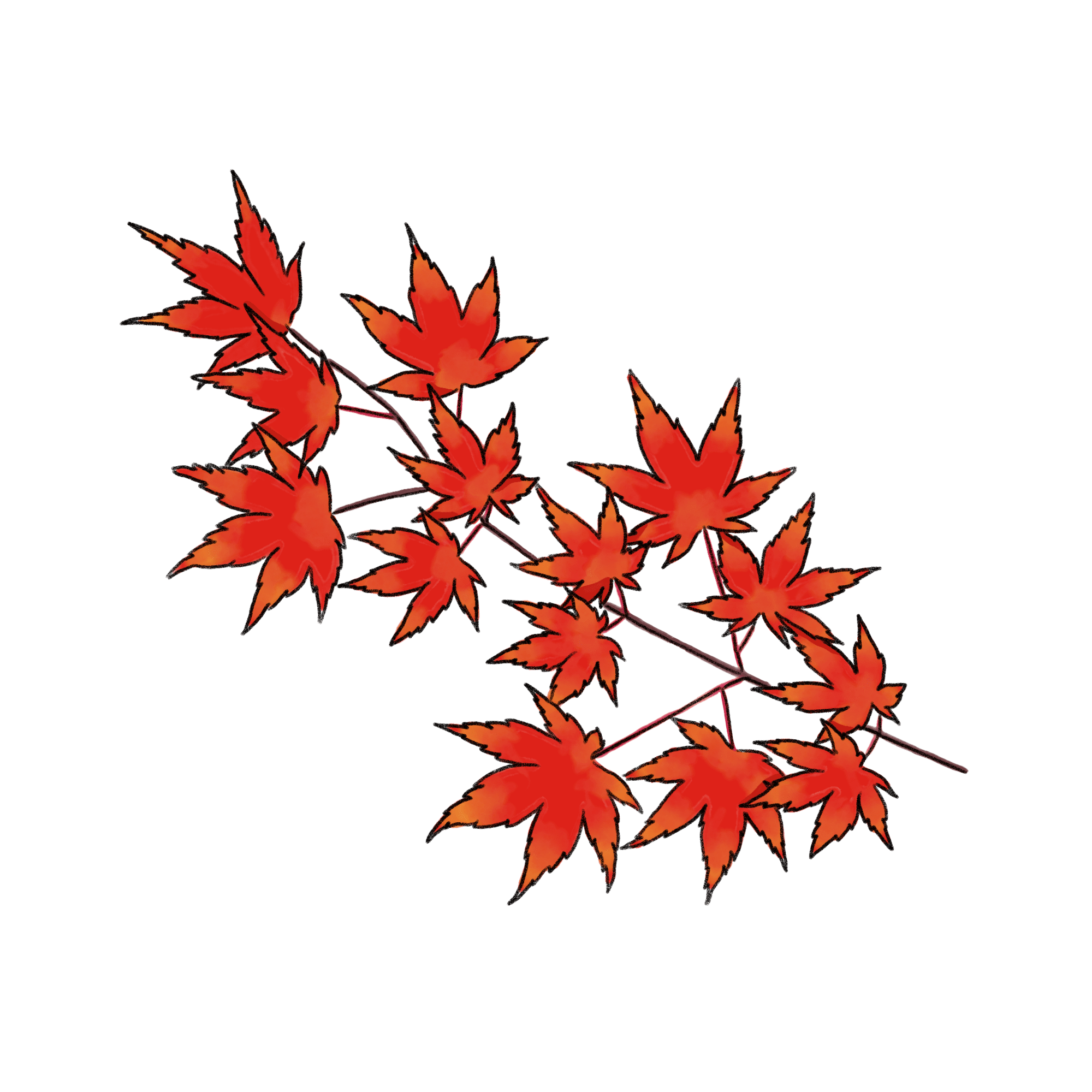 もみじの葉のイラスト 02 フリー素材 Greenstock40