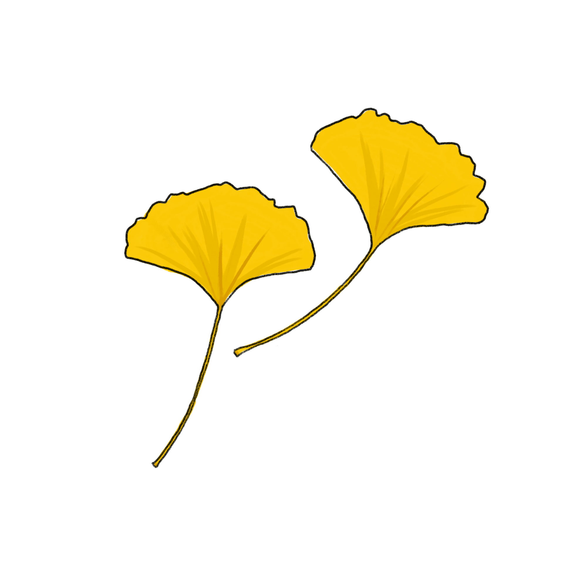 イチョウの葉のイラスト 02 フリー素材 Greenstock40