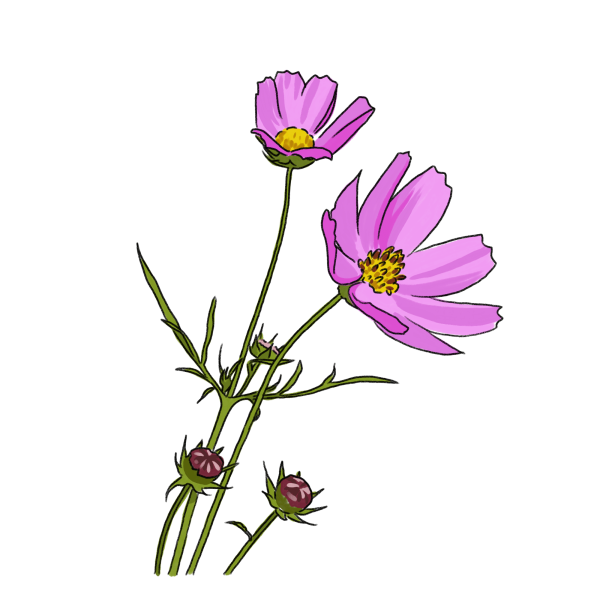 Amrkpyn1t9djym
