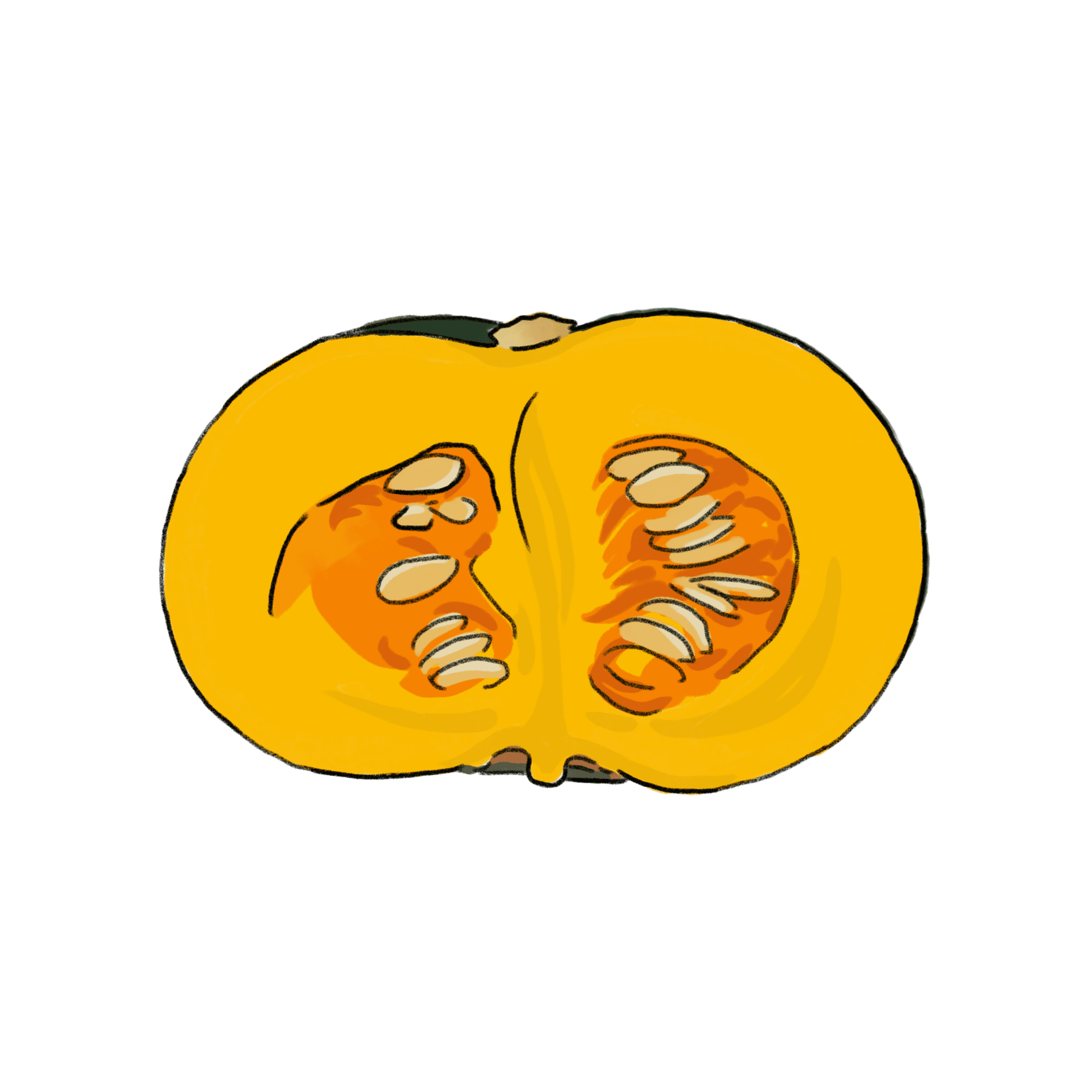 かぼちゃのイラスト 02 フリー素材 Greenstock40
