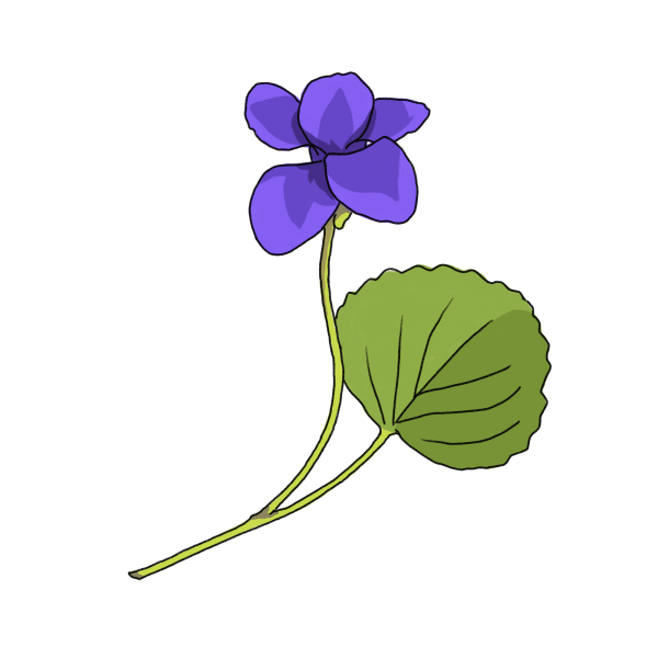 すみれのイラスト 02 フリー素材 Greenstock40