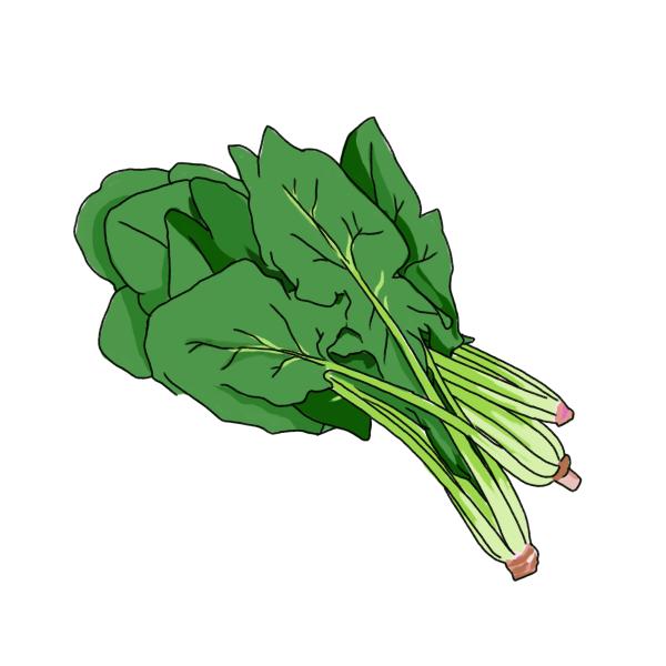 小松菜のイラスト フリー素材 Greenstock40
