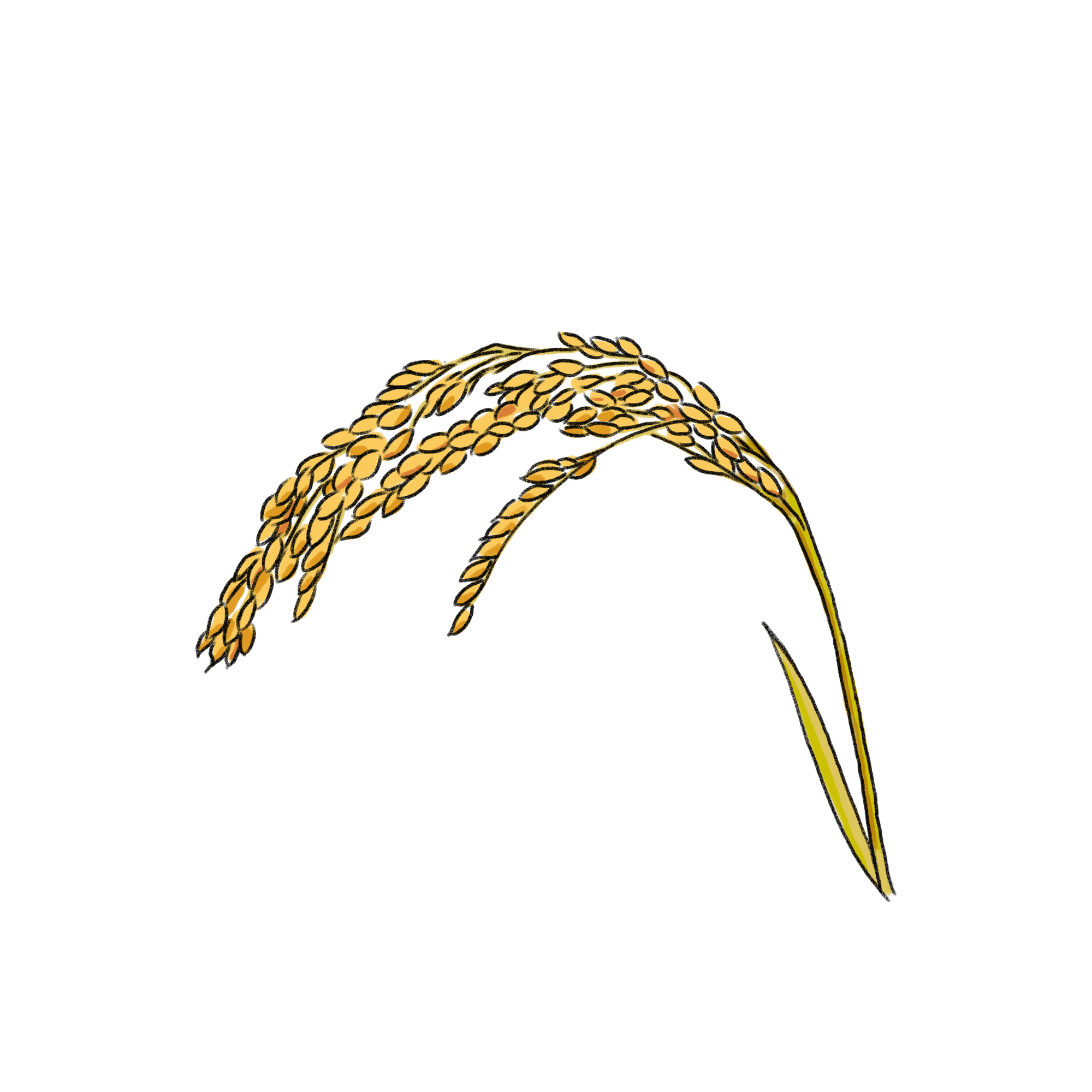 稲のイラスト フリー素材 Greenstock40
