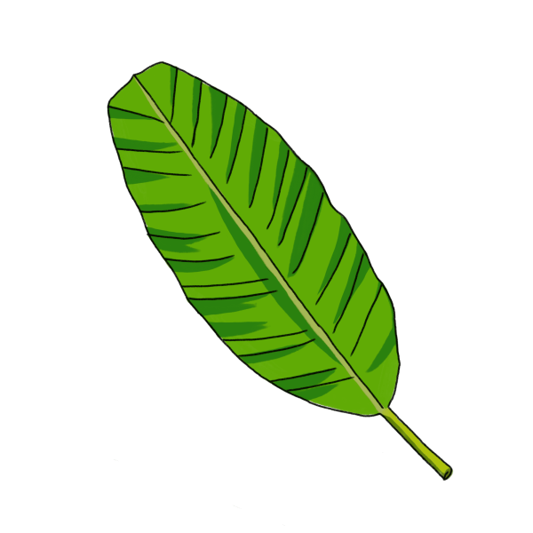 バナナの葉のイラスト