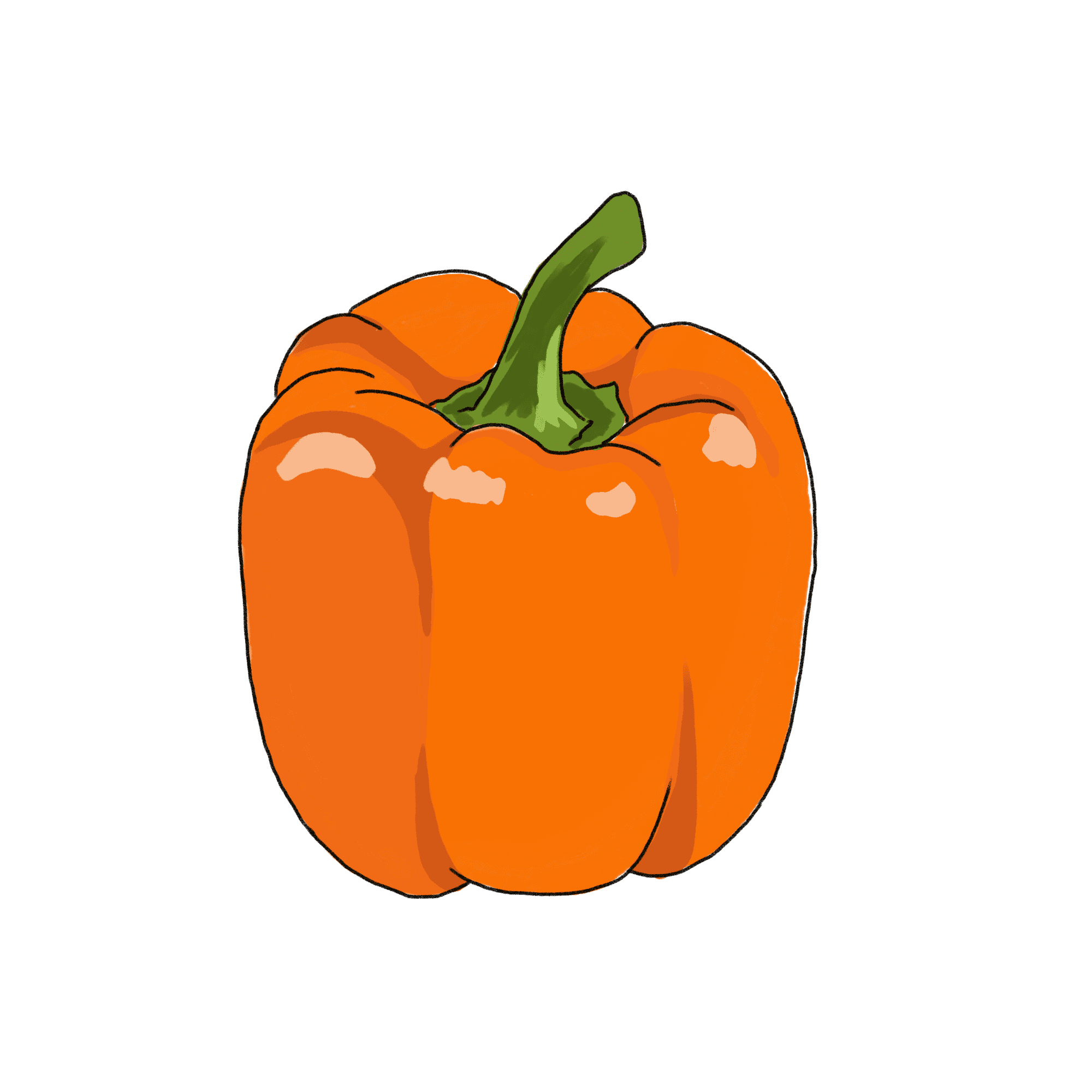 オレンジのパプリカのイラスト