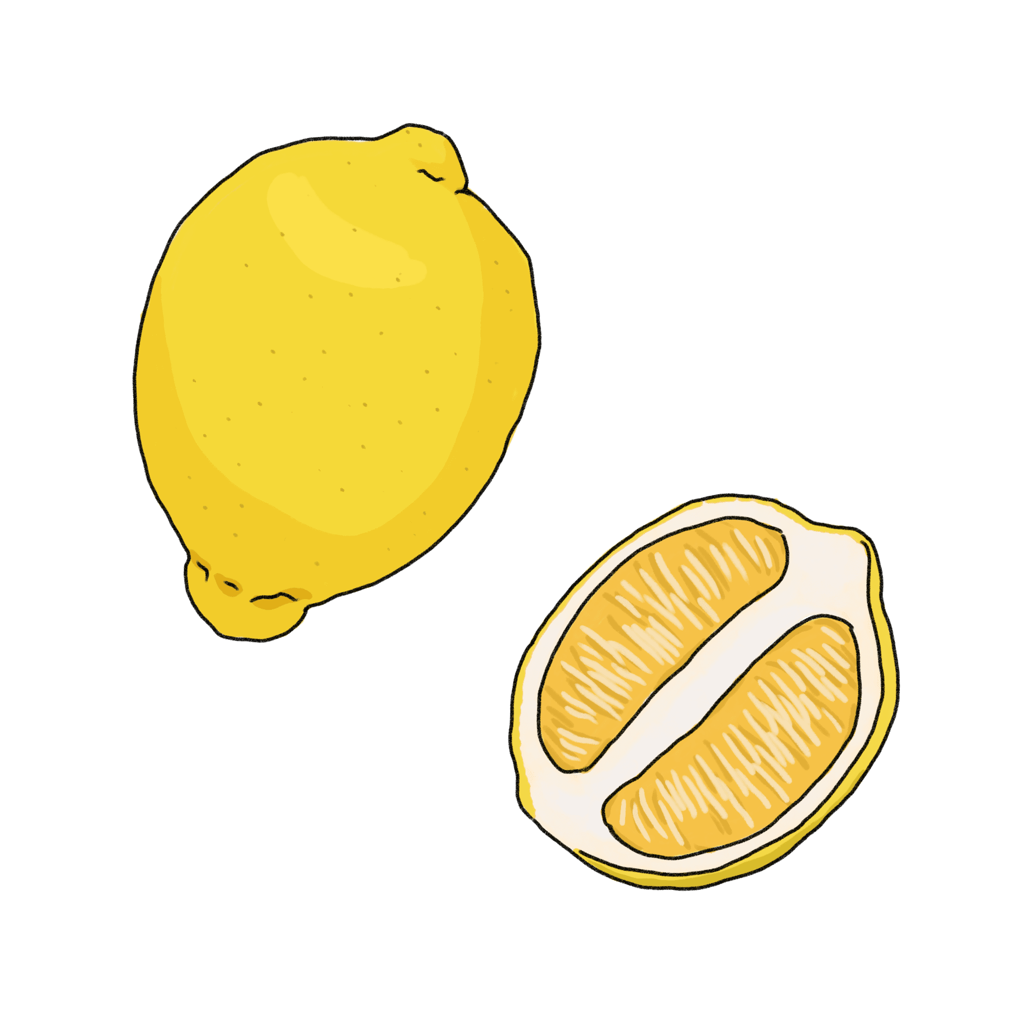 レモンのイラスト 02 フリー素材 Greenstock40