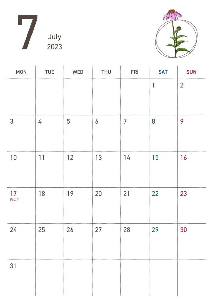B6カレンダー｜2023年7 月｜エキナセア