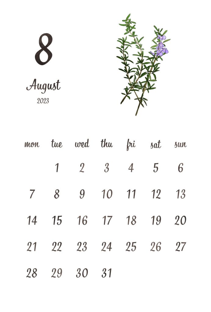 カレンダー｜2023年8月｜ローズマリー