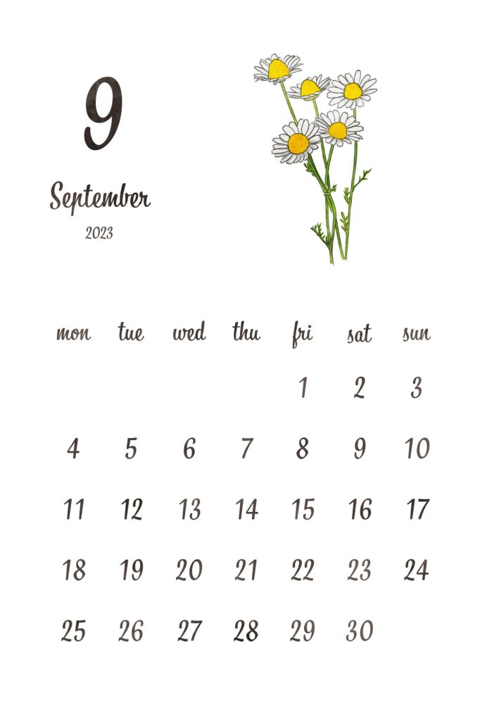 カレンダー｜2023年9月｜カモミール