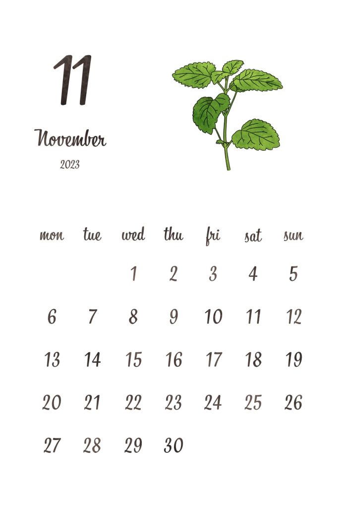 カレンダー｜2023年11月｜レモンバーム