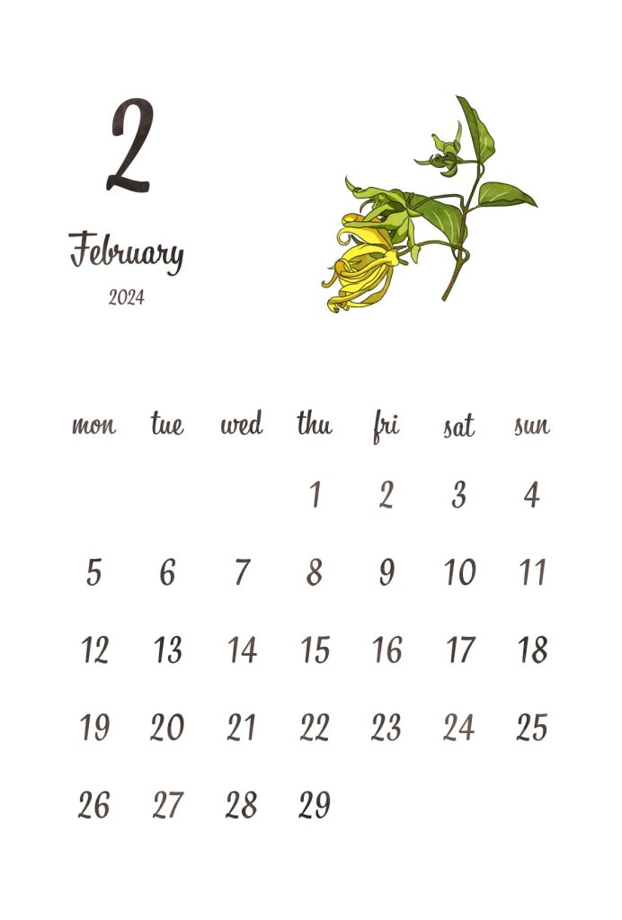 カレンダー｜2024年2月｜イランイラン