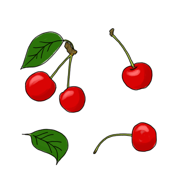 さくらんぼのイラスト