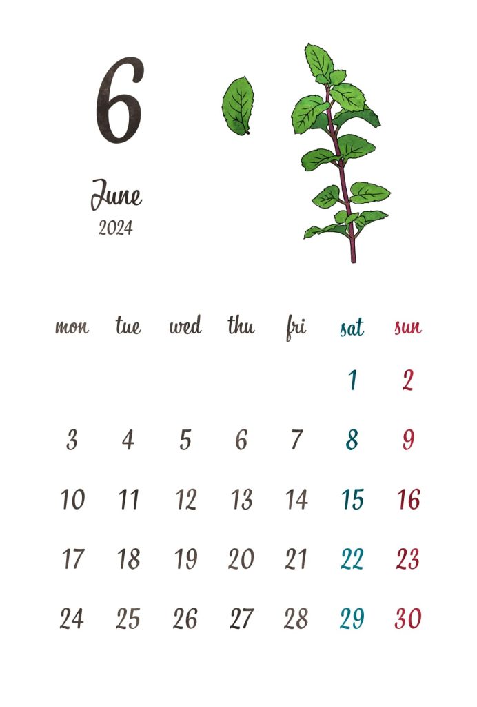 カレンダー｜2024年6月｜ペパーミント