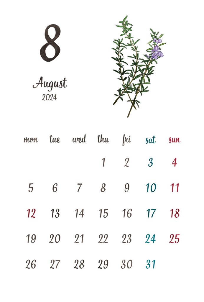 カレンダー｜2024年8月｜ローズマリー