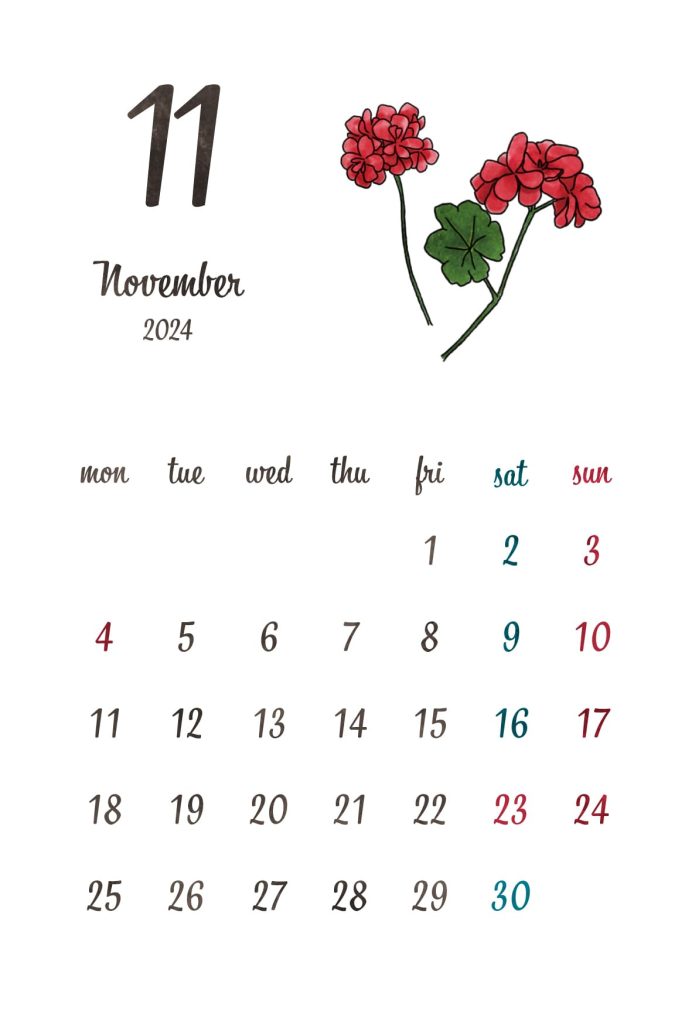 カレンダー｜2024年11月｜ゼラニウム