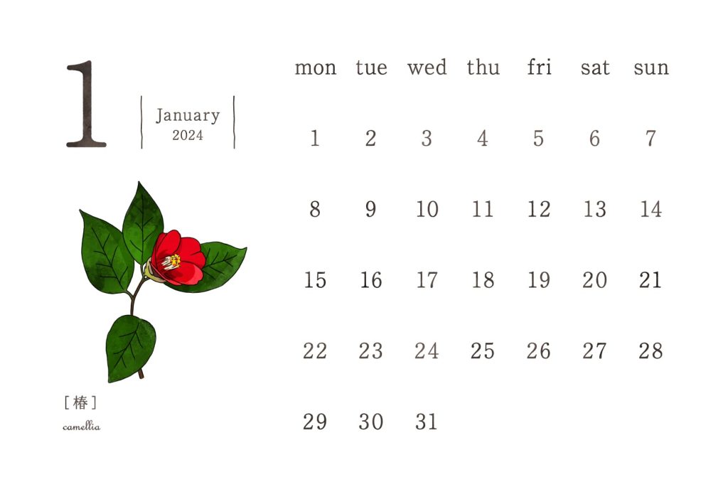 和の花カレンダー｜2024年1月｜椿