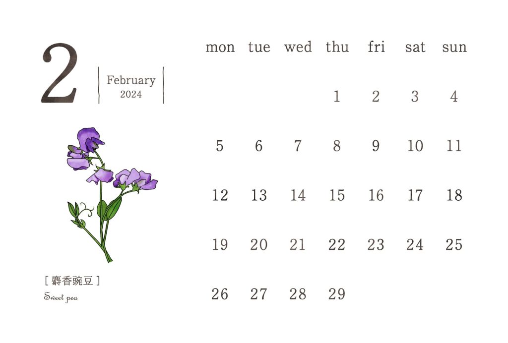 和の花カレンダー｜2024年2月｜麝香豌豆（スイートピー）