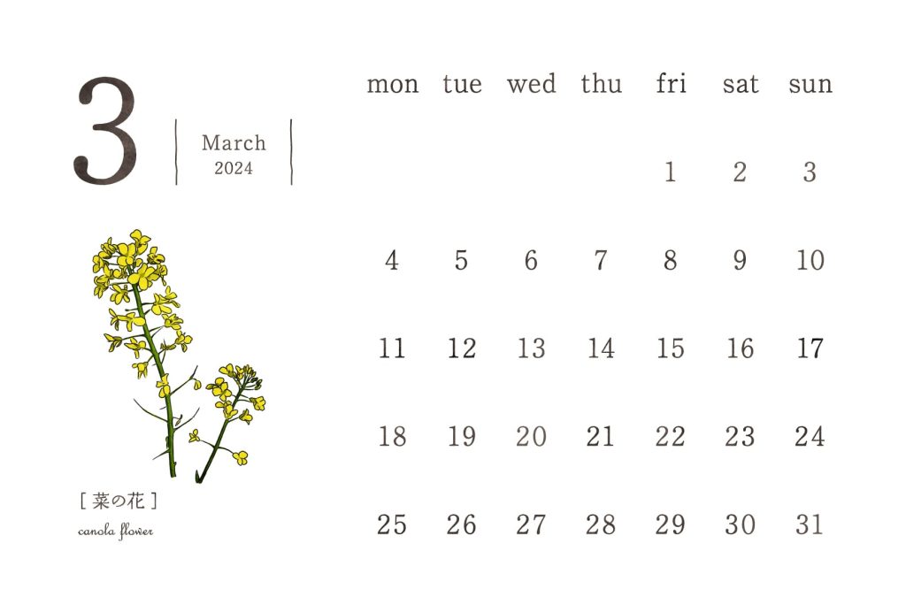 和の花カレンダー｜2024年3月｜菜の花