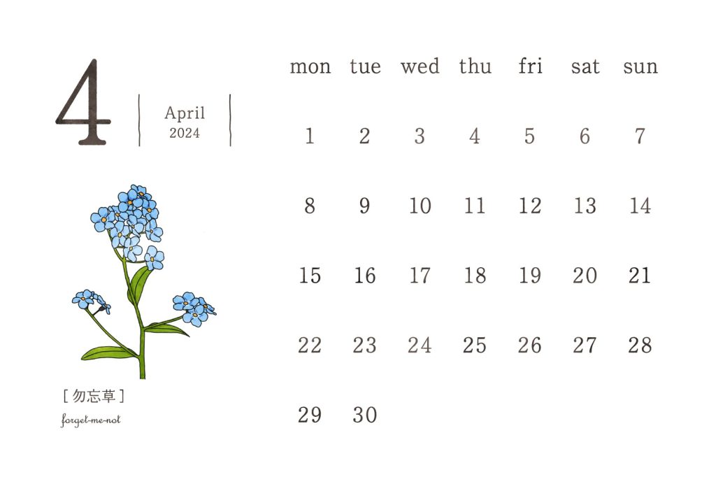 和の花カレンダー｜2024年4月｜勿忘草