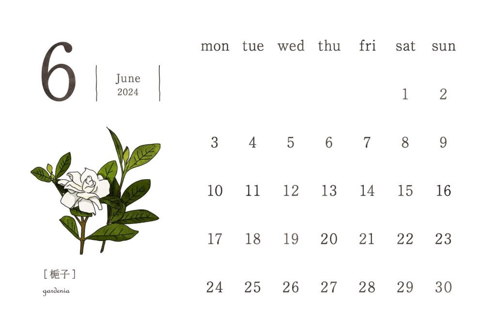 和の花カレンダー｜2024年6月｜梔子（くちなし）