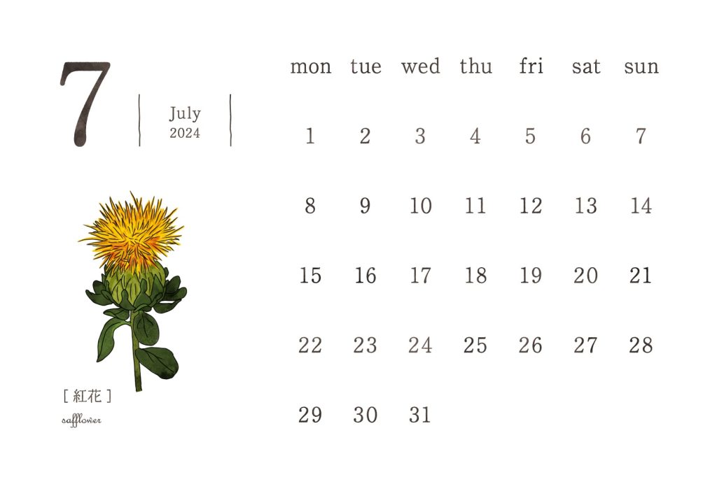 和の花カレンダー｜2024年7月｜紅花（べにばな）