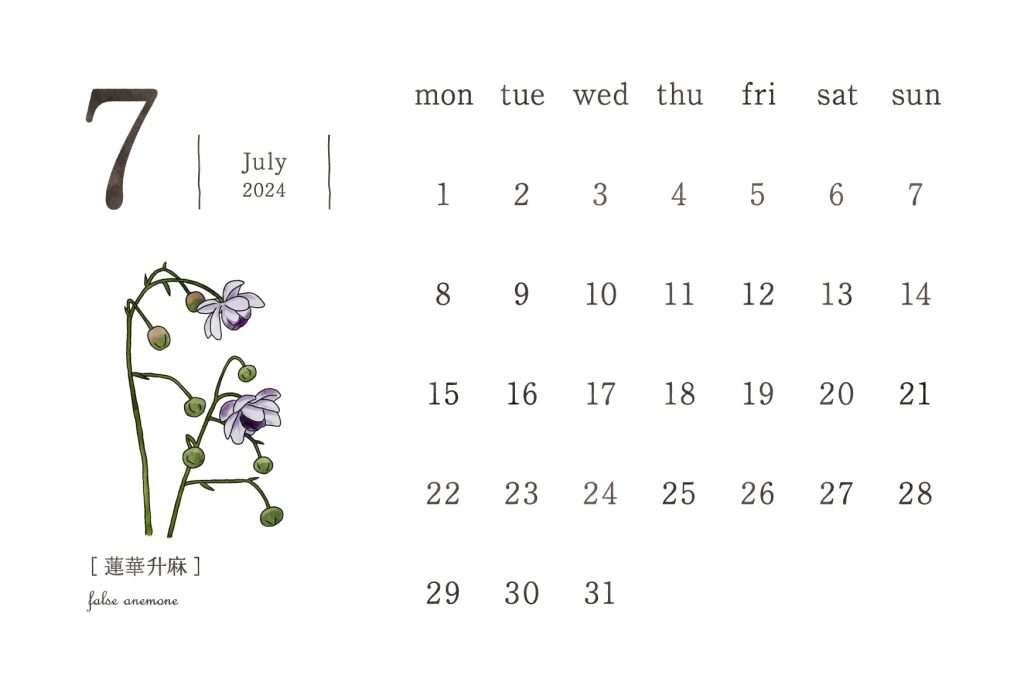 和の花カレンダー｜2024年7月｜蓮華升麻（れんげしょうま）