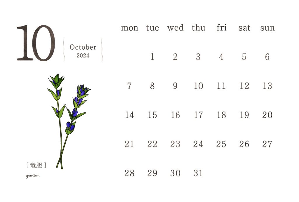 和の花カレンダー｜2024年10月｜竜胆（りんどう）