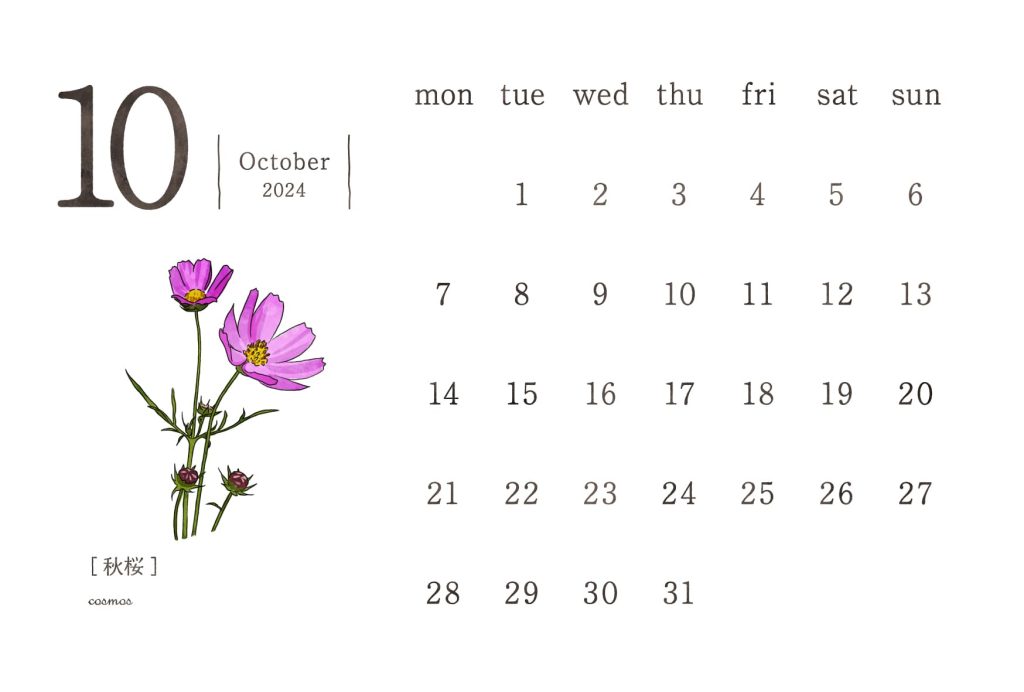 和の花カレンダー｜2024年10月｜秋桜（コスモス）