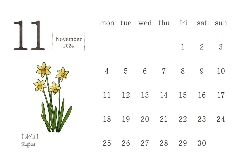 和の花カレンダー｜2024年11月｜水仙（スイセン）