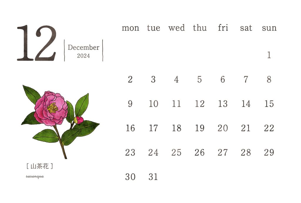 和の花カレンダー｜2024年12月｜山茶花（サザンカ）