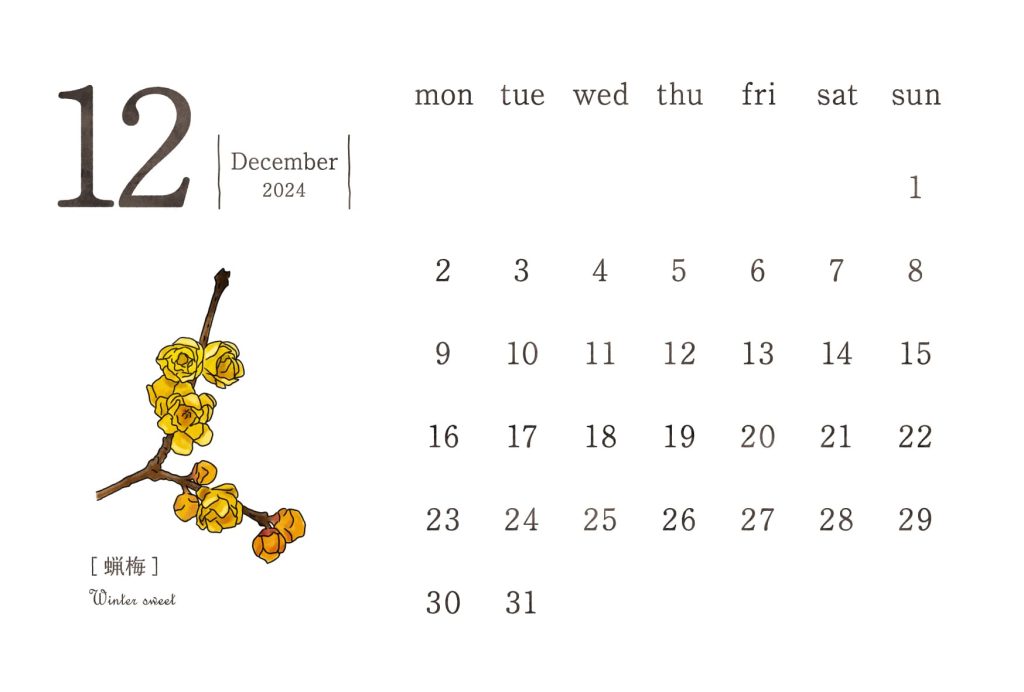 和の花カレンダー｜2024年12月｜蝋梅（ロウバイ）