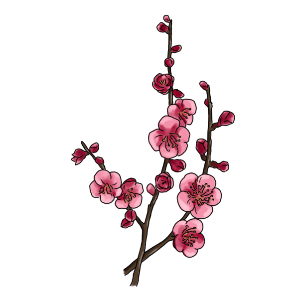 梅の花のイラスト