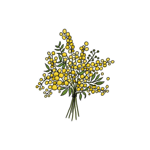 ミモザの花束のイラスト