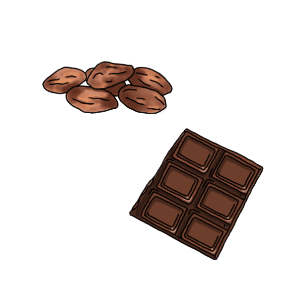 カカオ豆とチョコレートのイラスト