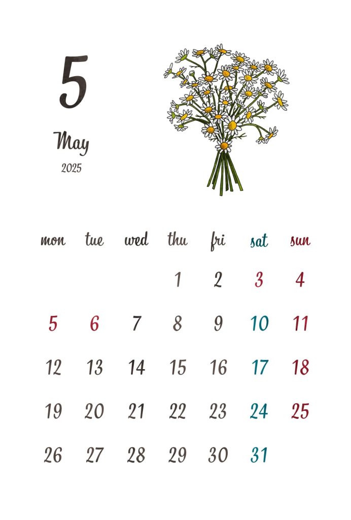 カレンダー｜2025年5月｜カモミール
