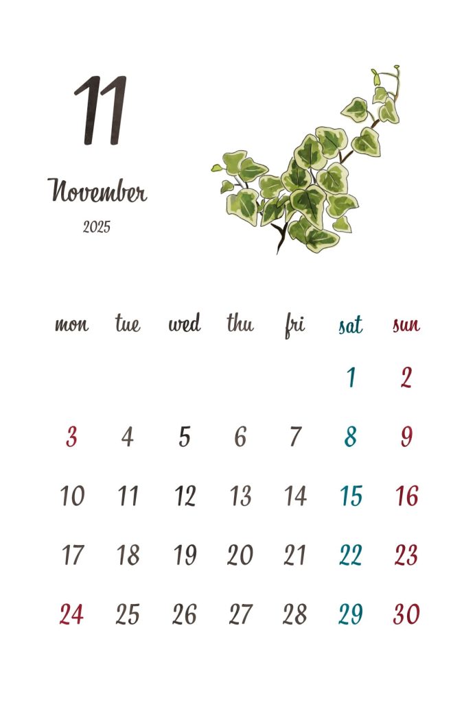 カレンダー｜2025年11月｜アイビー