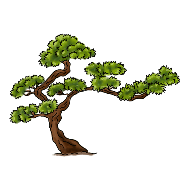松の木のイラスト